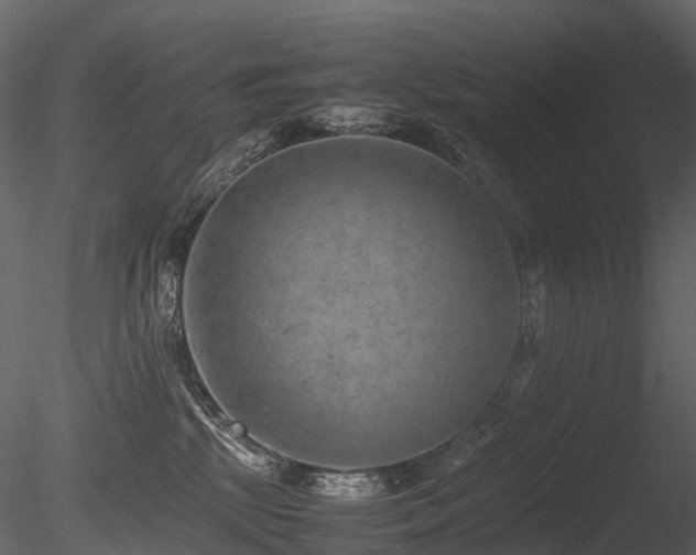 X0000085830281200703161332