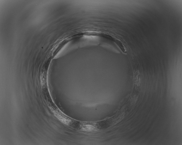 X0000085830285200703161332
