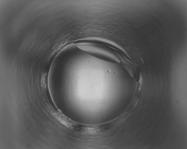 X0000085830286200703161332