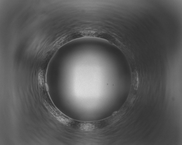 X0000085830287200703161332