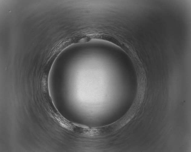 X0000085830288200703161332