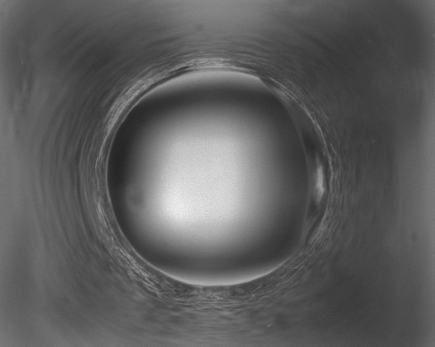X0000085830289200703161331