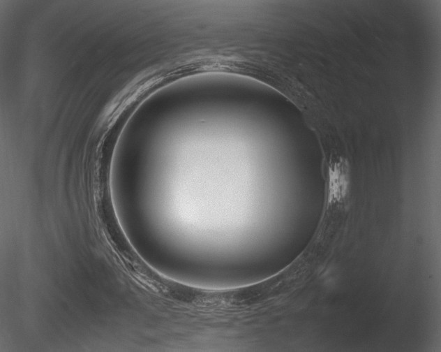 X0000085830291200703161331