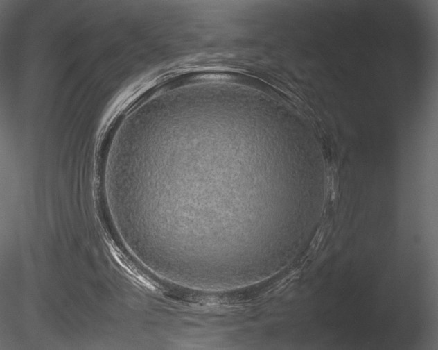 X0000085830293200703161331