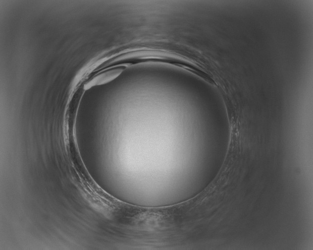 X0000085830294200703161331
