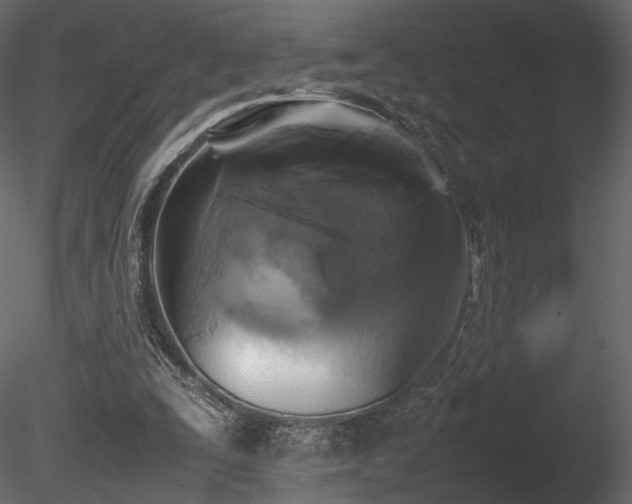 X0000085830295200703161331
