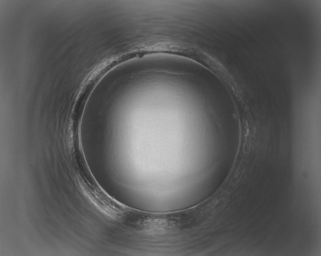 X0000085830298200703161331