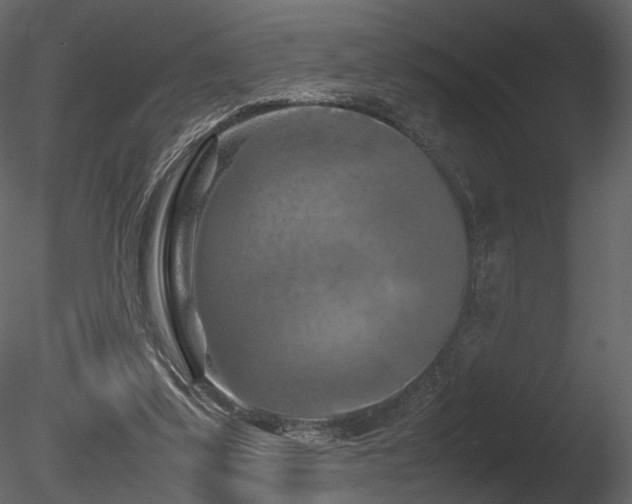 X0000085830299200703161331