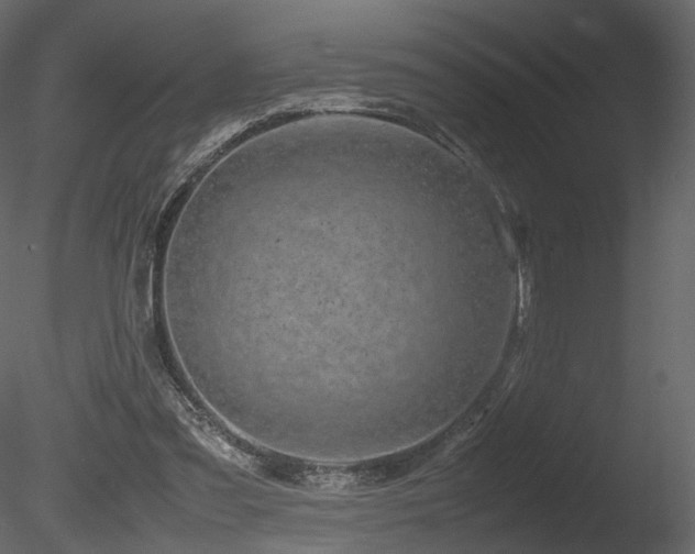 X0000085830301200703161331