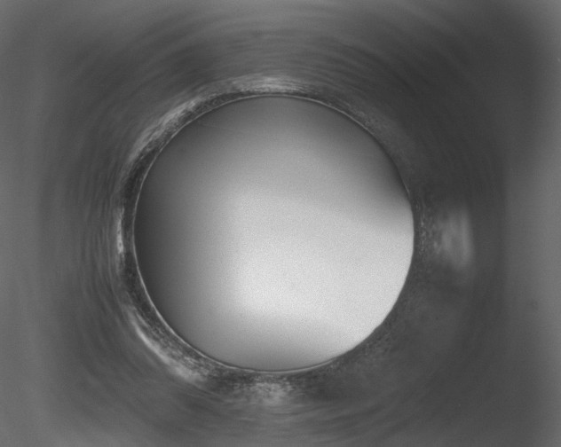 X0000085830302200703161331