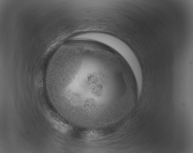 X0000085830303200703161331