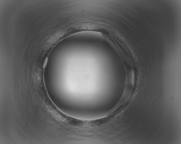 X0000085830305200703161331