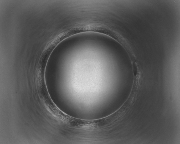 X0000085830306200703161331