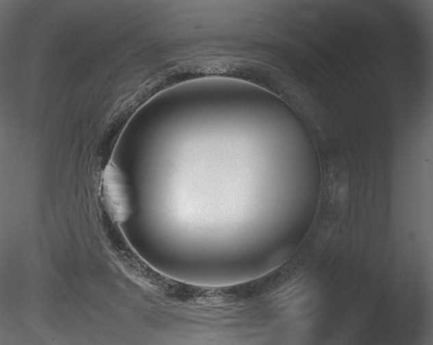 X0000085830307200703161331