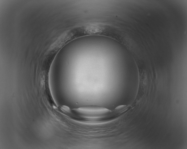 X0000085830315200703161331