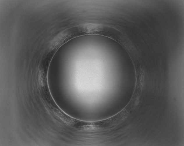 X0000085830316200703161331