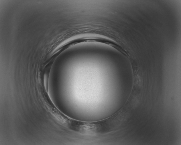 X0000085830317200703161331