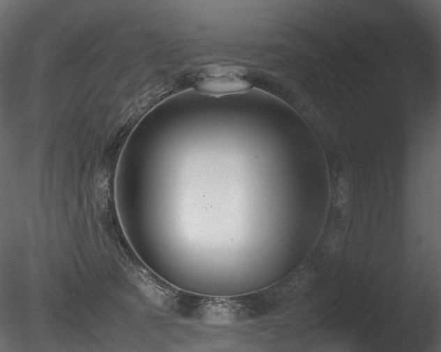X0000085830321200703161331