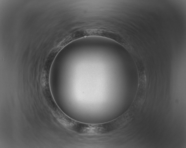 X0000085830323200703161331