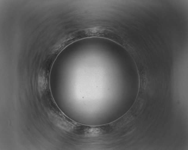 X0000085830324200703161331