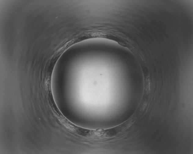 X0000085830329200703161330
