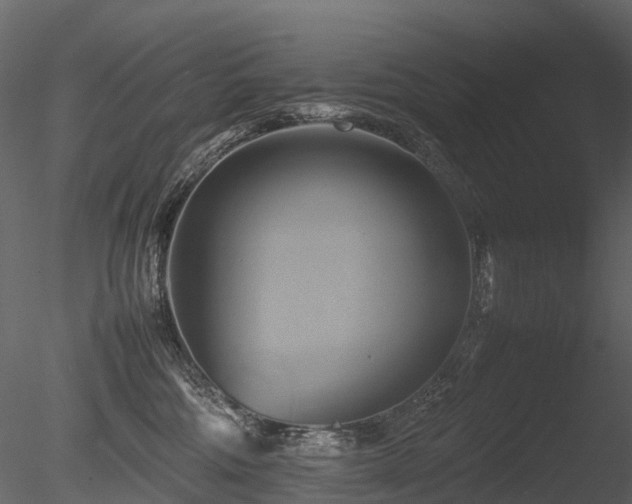 X0000085830330200703161330