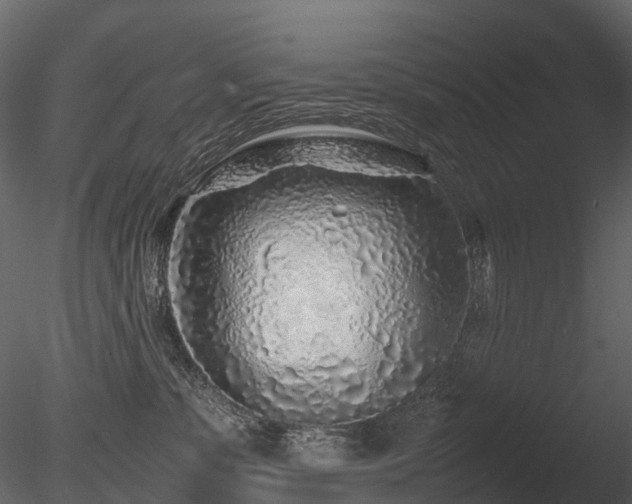 X0000085830331200703161330