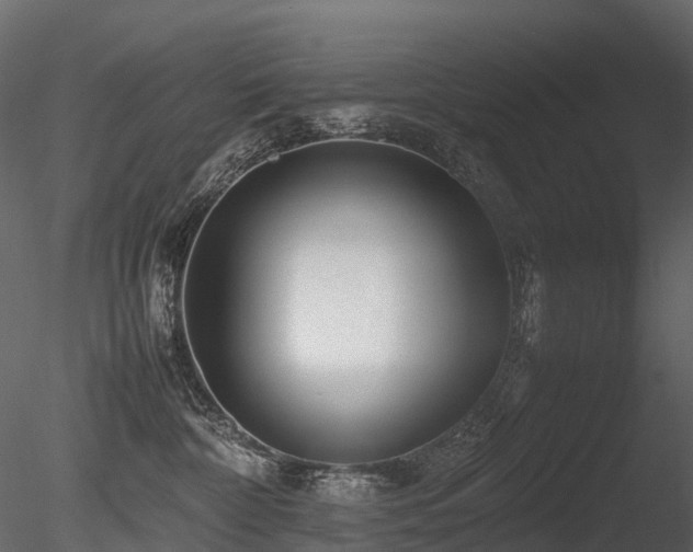 X0000085830332200703161330