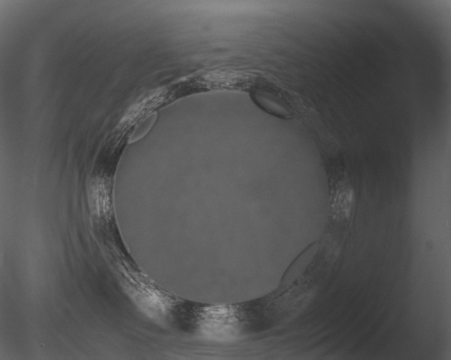 X0000085830335200703161330