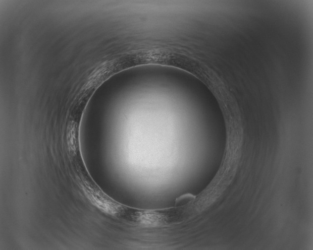 X0000085830336200703161330