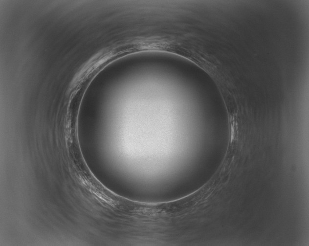X0000085830339200703161330