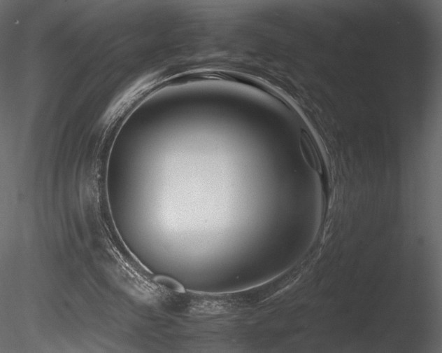 X0000085830341200703161330