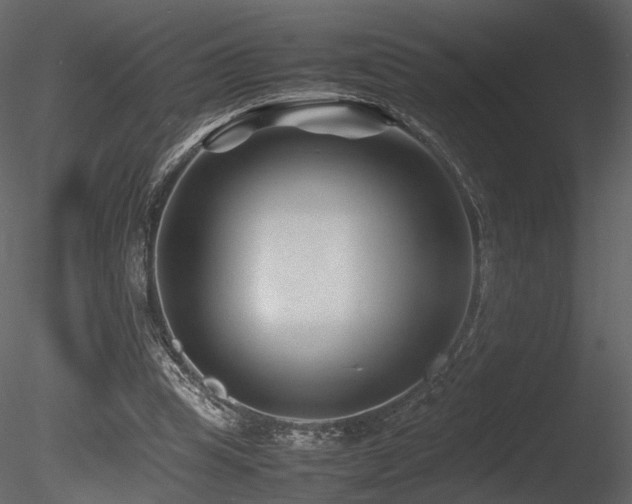 X0000085830345200703161330