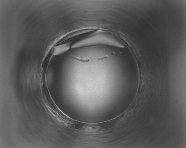 X0000085830346200703161330