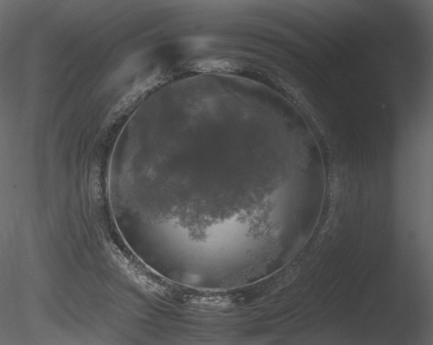 X0000085830353200703161330