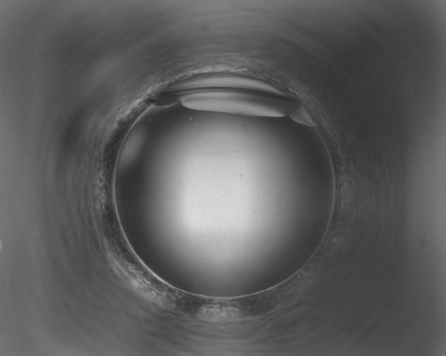 X0000085830354200703161330