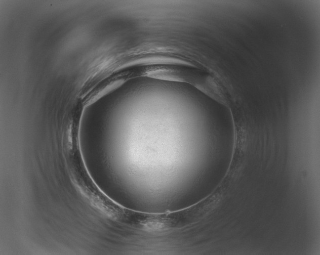 X0000085830358200703161330