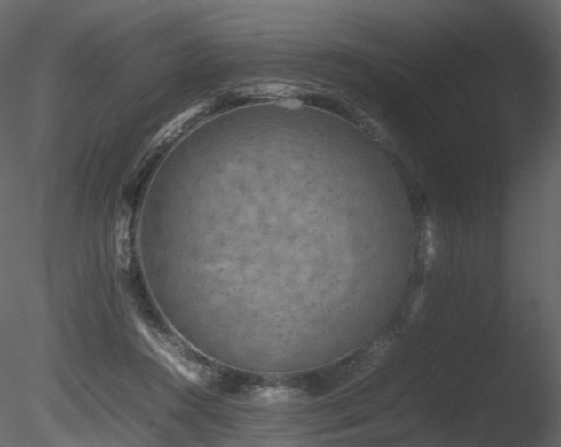 X0000085830360200703161330