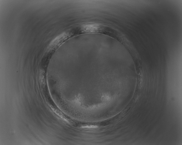 X0000085830361200703161330