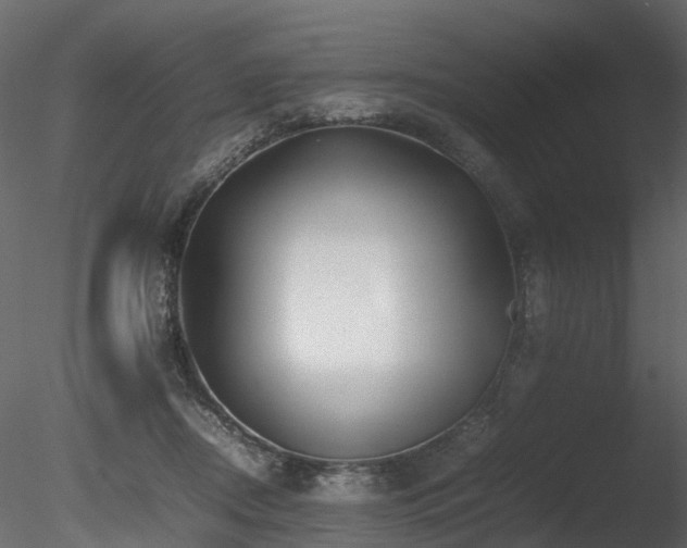X0000085830362200703161330