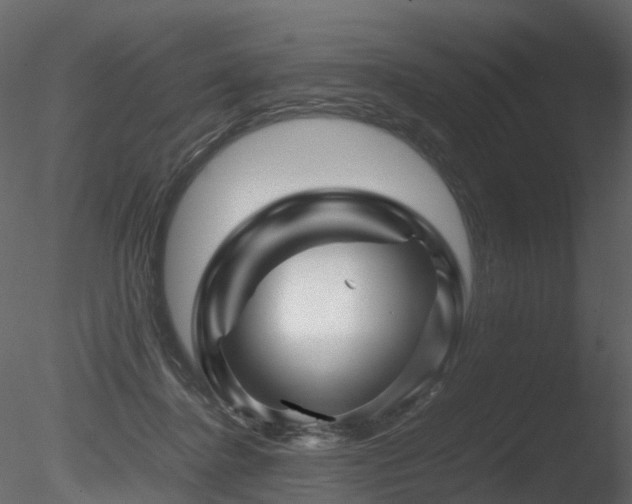 X0000085830364200703161330