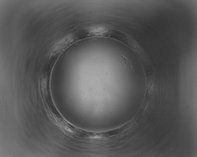 X0000085830365200703161330