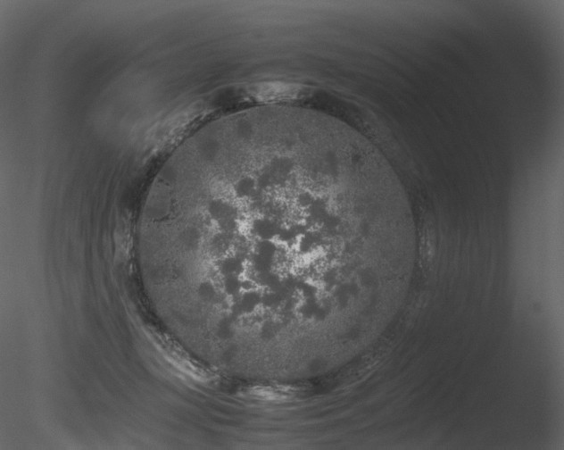 X0000085830367200703161330