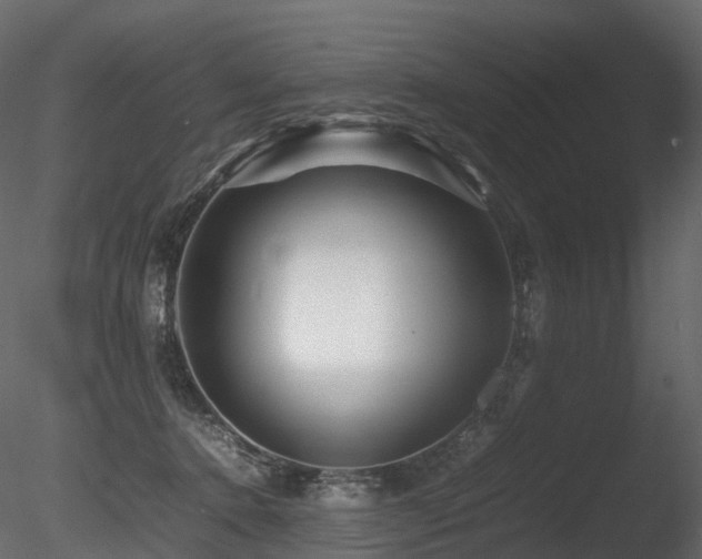 X0000085830368200703161330