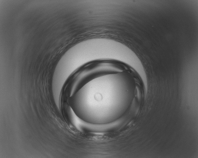 X0000085830372200703161330
