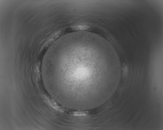 X0000085830373200703161330