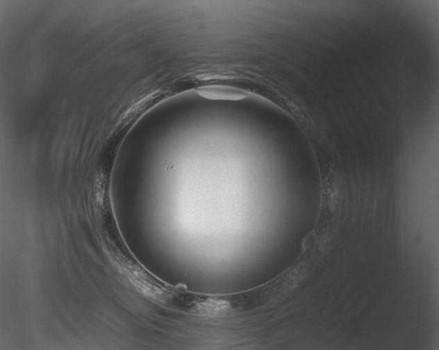 X0000085830374200703161330