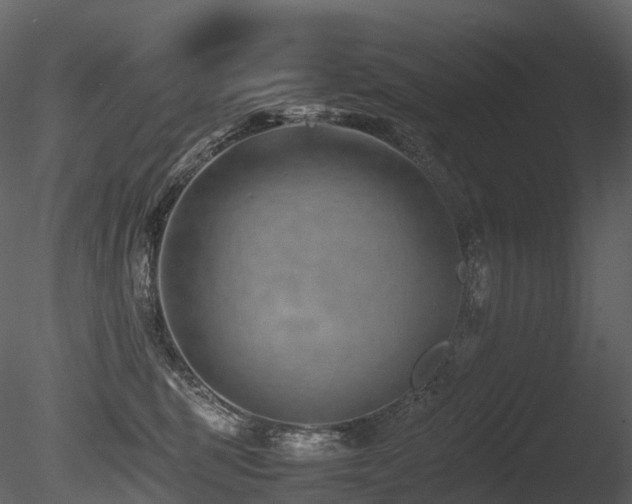 X0000085830375200703161330
