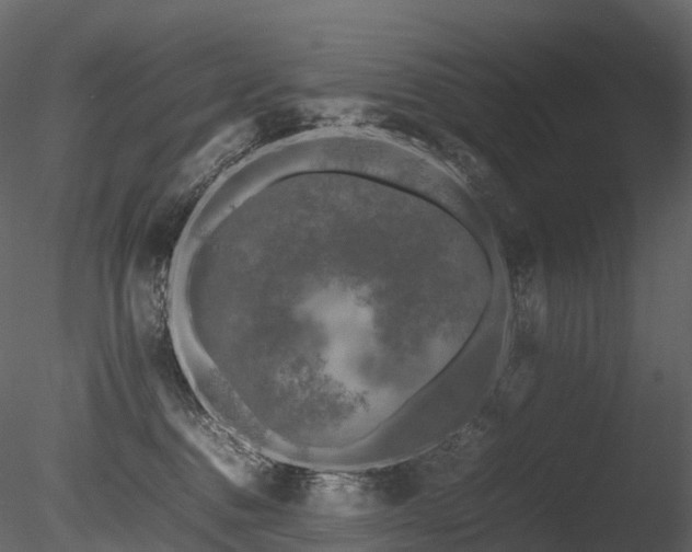 X0000085830376200703161330