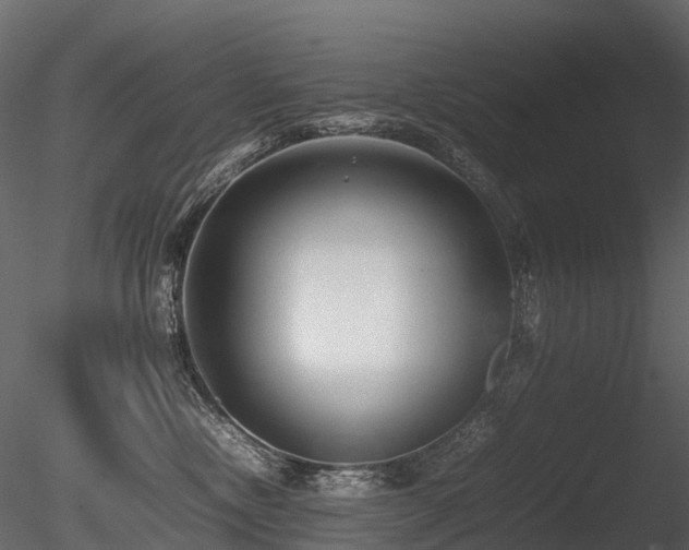 X0000085830378200703161330